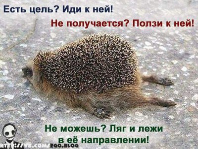 Цель.jpg
